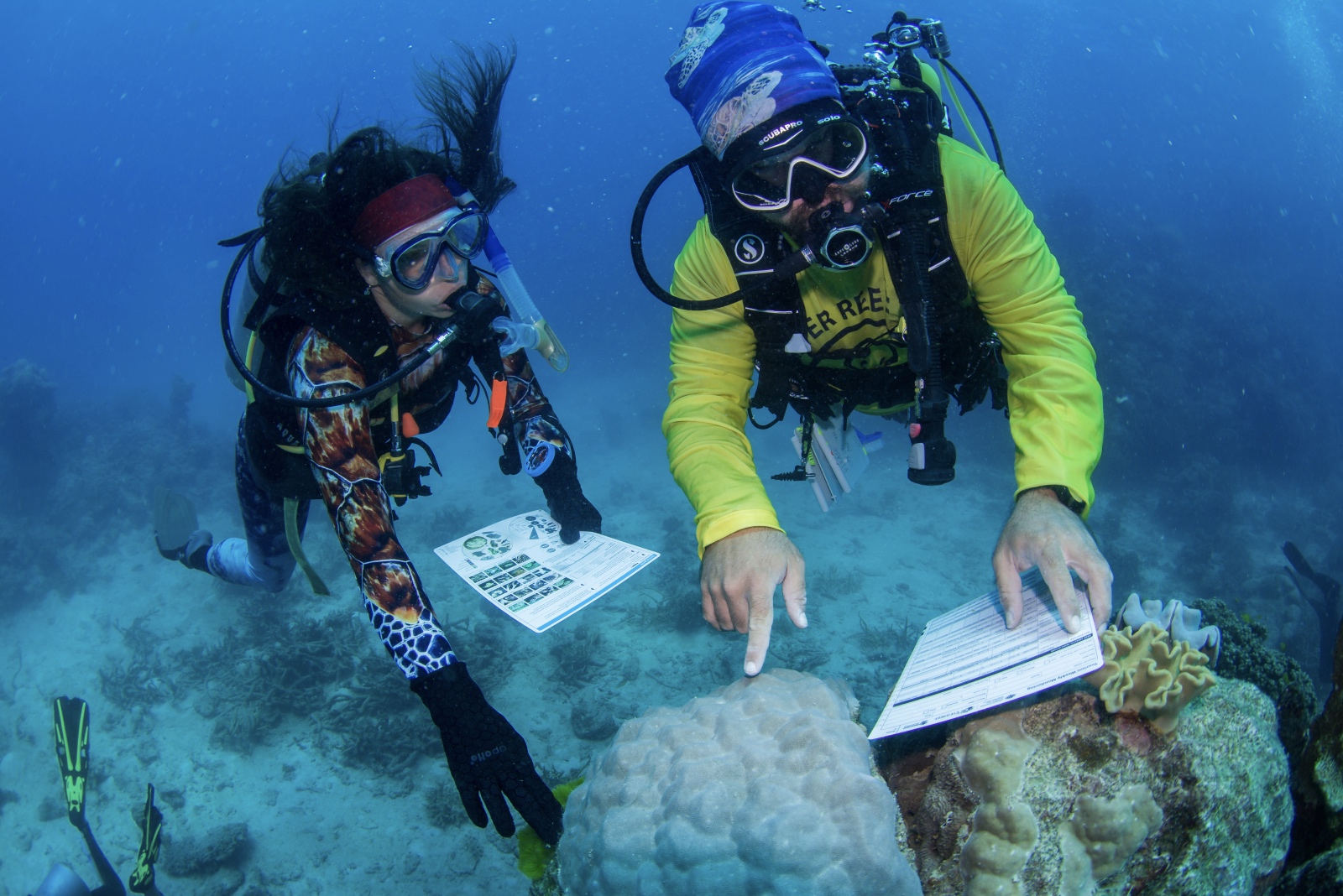 Citizen Science Tour, Passions of Paradise
